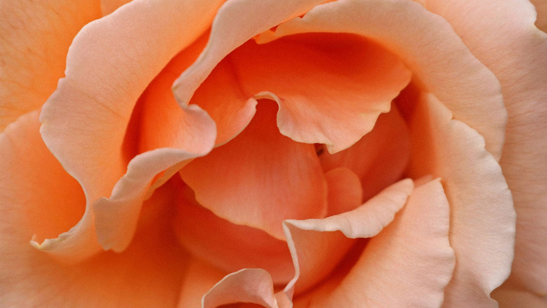 Why declining estrogen changes your intimate skin — and why regular skincare isn't enough
